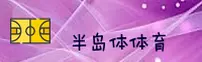 使用指南与常见问题
